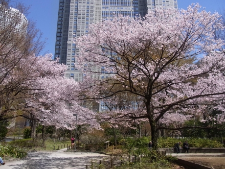 新宿中央公园 可做的事 / 从新宿华盛顿酒店步行 3 分钟!