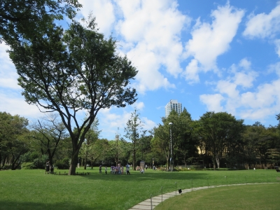 Shinjuku Central Park