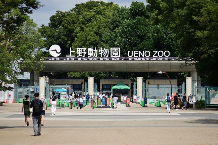 Tokyo Sightseeing Spots