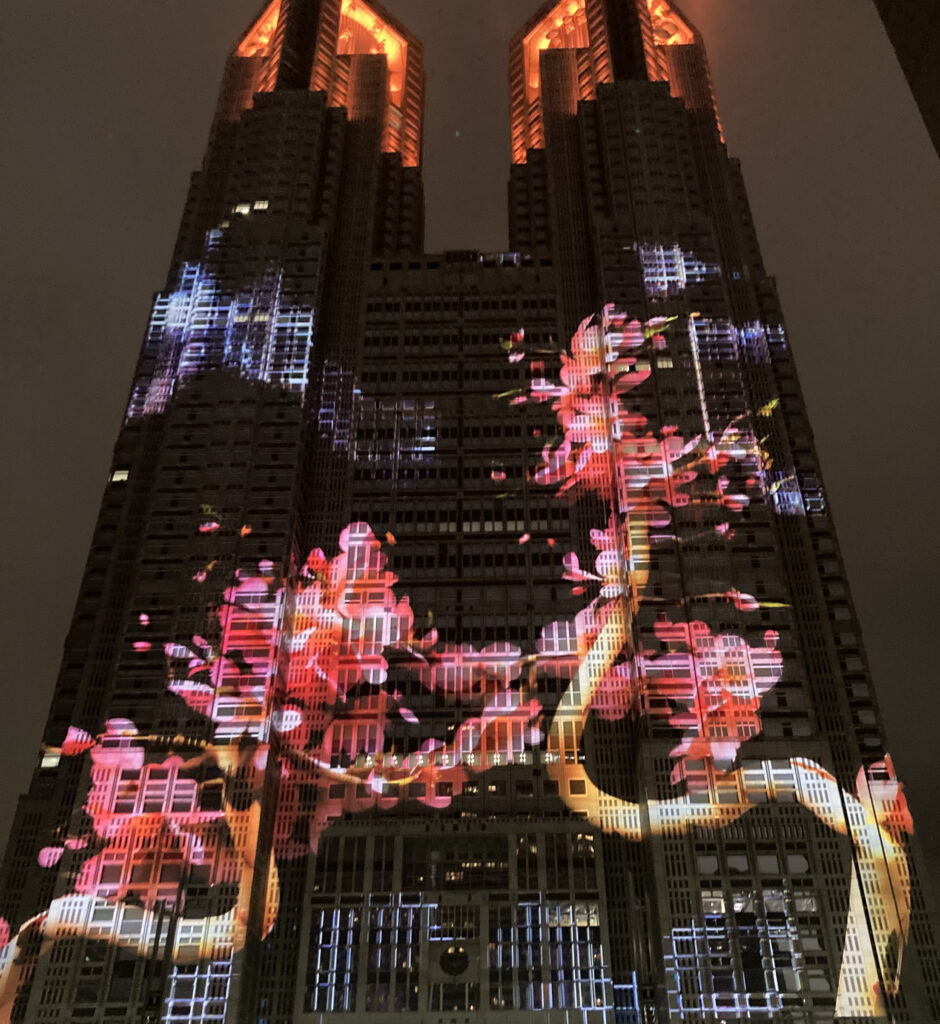 Tokyo night & Light